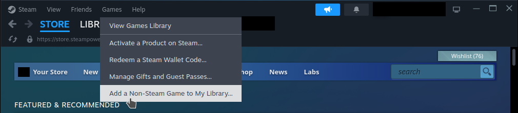 Adding Non-Steam Game